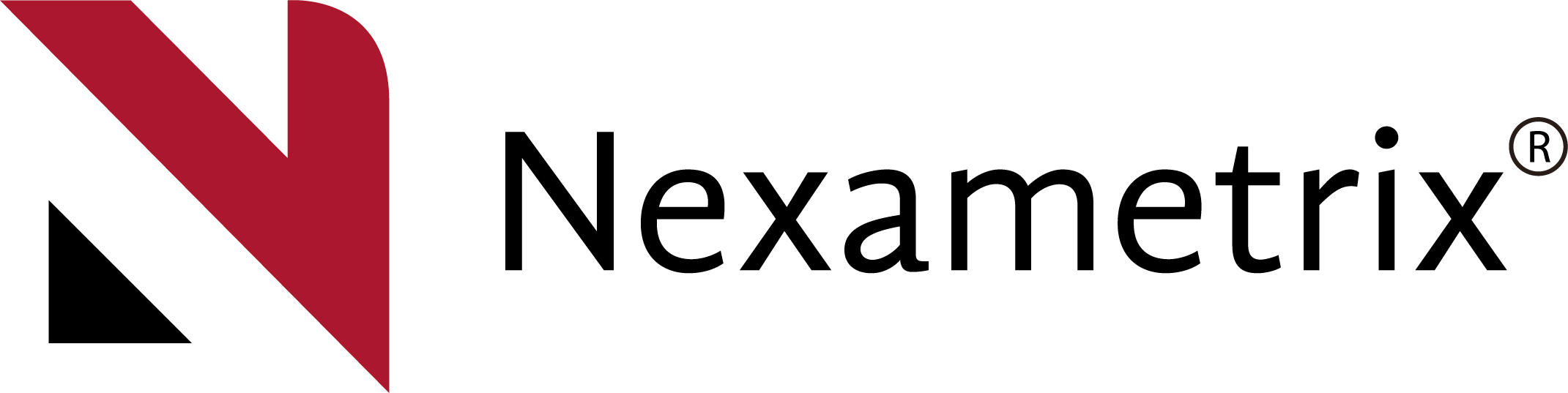 Nexametrix-1.png